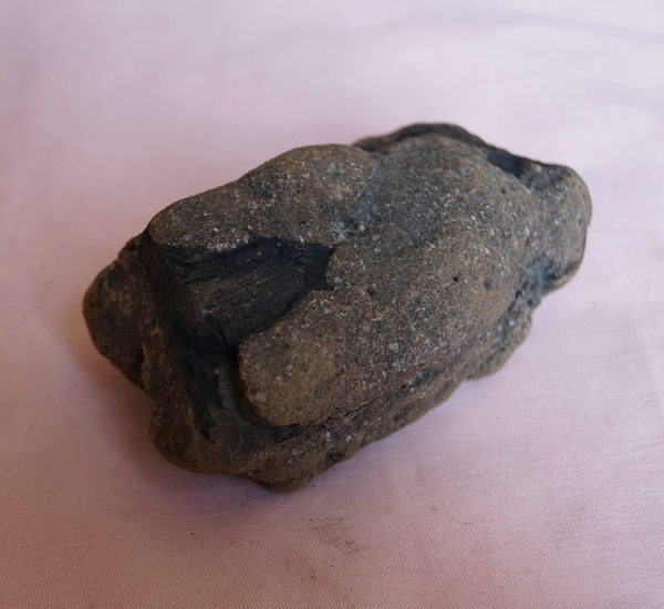 碳化石 标本原石 木化石 树化石 各种火山石 收藏 天然奇石